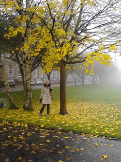 George Watson’s College 校園